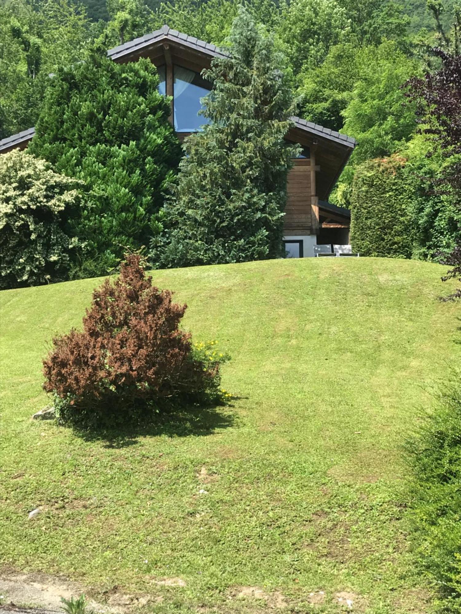 Appartement Sevrier Terrasse Et Jardin Eksteriør billede